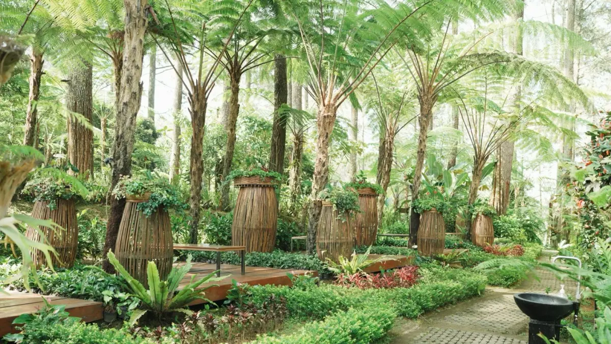 POHON PINUS: Taman wisata keluarga Orchid Forest Cikole di Lembang, Jawa Barat. (Dok. Khairul Jasmi)