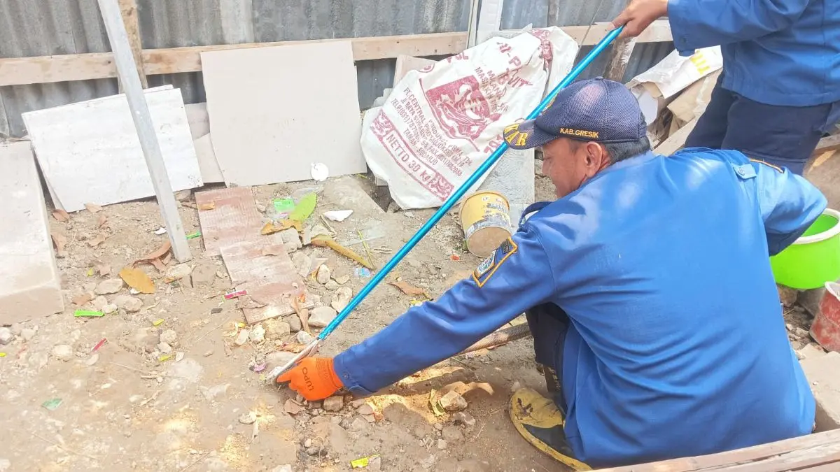 Petugas Damkarla Gresik menangani 7 laporan reptil masuk rumah warga. (Istimewa) - Image