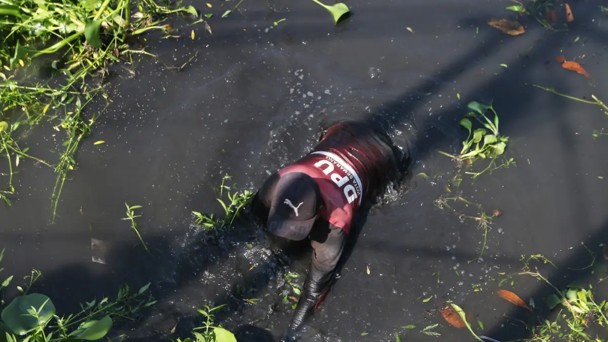 Upaya mengurangi genangan banjir di Semarang Petugas dengan menggunakan bambu membersihkan tanaman enceng gondok (Eichhornia crassipes) di sungai-sungai Kota Semarang (seperti Kali Banger atau Kali Sringin), Jawa Tengah, Senin (8/6/2026). (Nur Chamim/Jawa