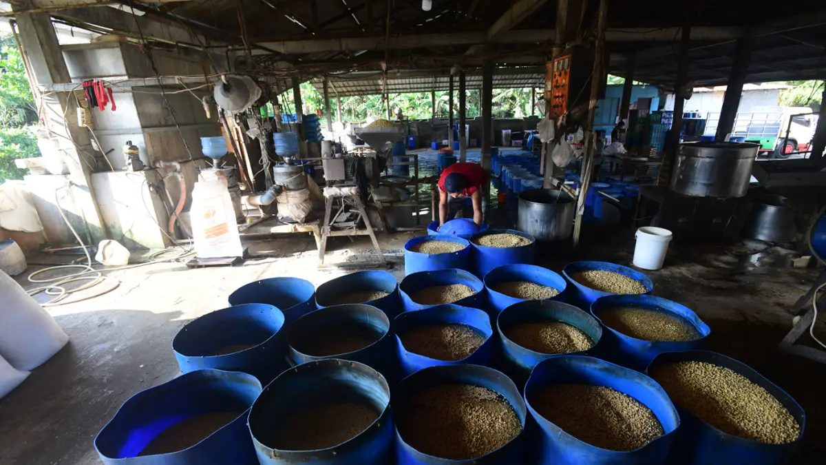 Harga Kedelai Naik Berdampak ke Pengerajin Tahu/ Tempe - Image