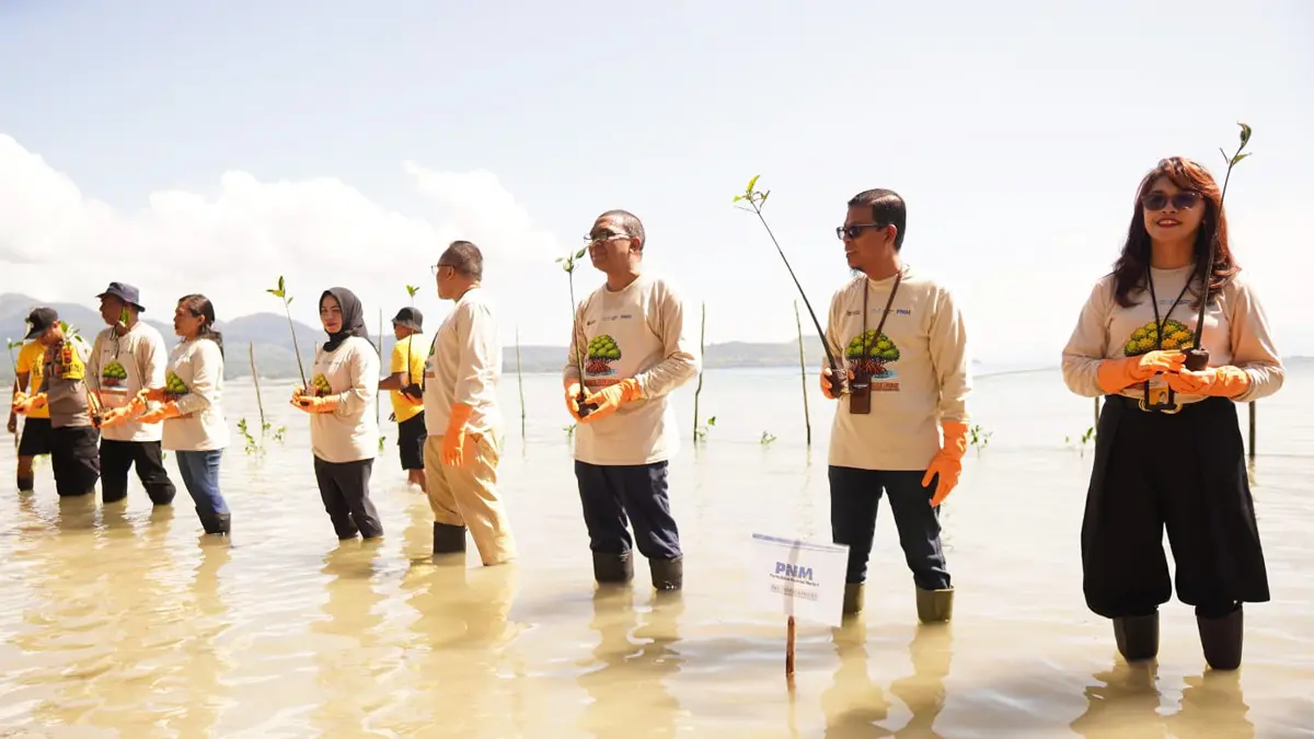 PT Permodalan Nasional Madani (PNM) melaksanakan berbagai aksi pelestarian ekosistem laut dan pesisir, diantaranya penanaman 70.000 pohon mangrove, 2.000 bibit terumbu karang serta pelepasan 1.000 tukik atau anak penyu ke habitat alaminya. (Istimewa). - Image