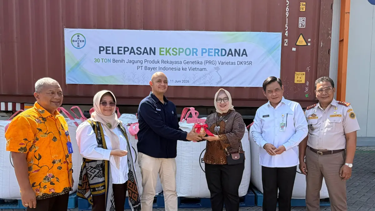 Ekspor Perdana 30 Ton Benih Jagung Bioteknologi - Image