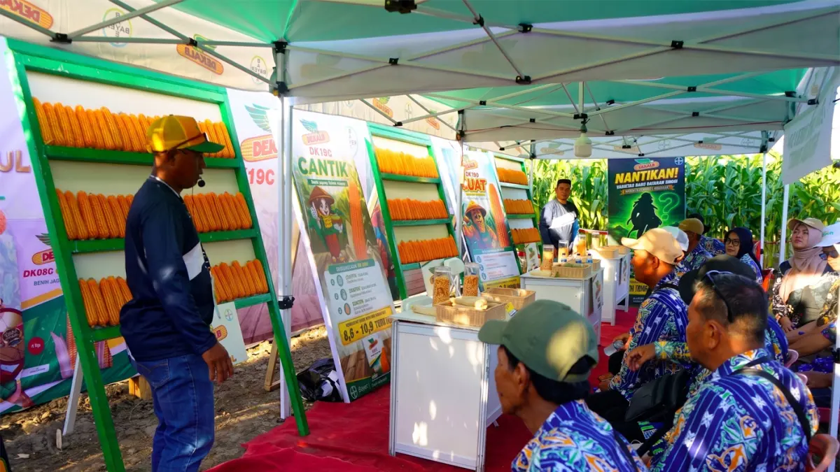 Penyuluh pertanian dari Bayer sedang menjelaskan keunggulan berbagai varietas benih jagung Bayer kepada kelompok tani di lahan demplot PENAS Petani Nelayan XVII di Kabupaten Gorontalo, Sabtu (20/6).