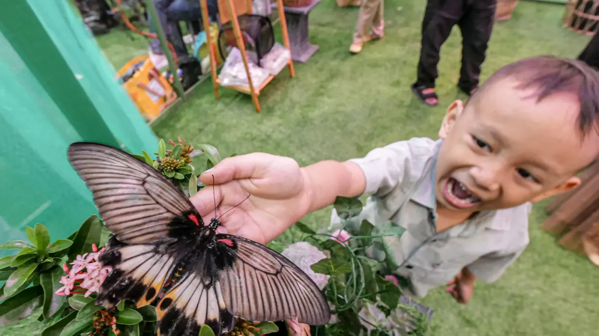 Sejumlah pengunjung mencoba sensai memegang serangga dan kupu-kupu di House of the Jungle di Mall Ciputra Jakarta, Sabtu (20/06/2026). (Hanung Hambara/Jawa Pos)