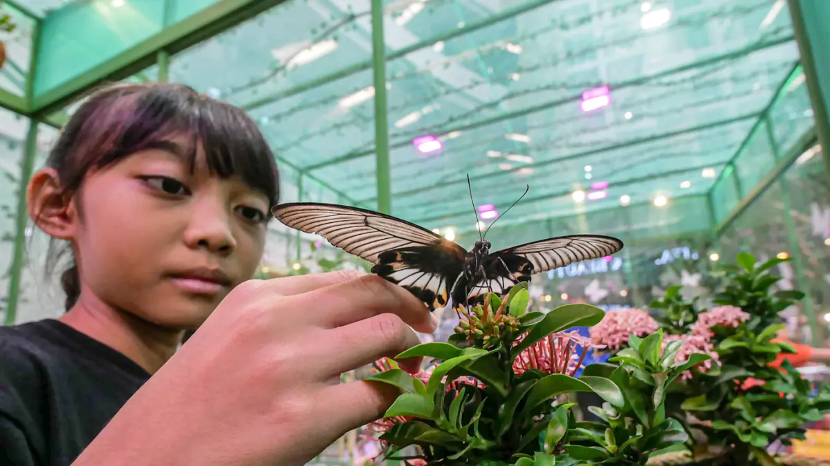 Sejumlah pengunjung mencoba sensai memegang serangga dan kupu-kupu di House of the Jungle di Mall Ciputra Jakarta, Sabtu (20/06/2026). (Hanung Hambara/Jawa Pos)