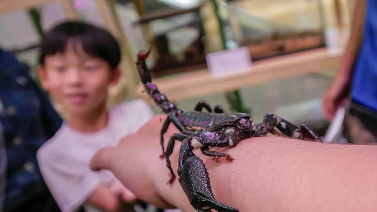 Sejumlah pengunjung mencoba sensai memegang serangga dan kupu-kupu di House of the Jungle di Mall Ciputra Jakarta, Sabtu (20/06/2026). (Hanung Hambara/Jawa Pos)