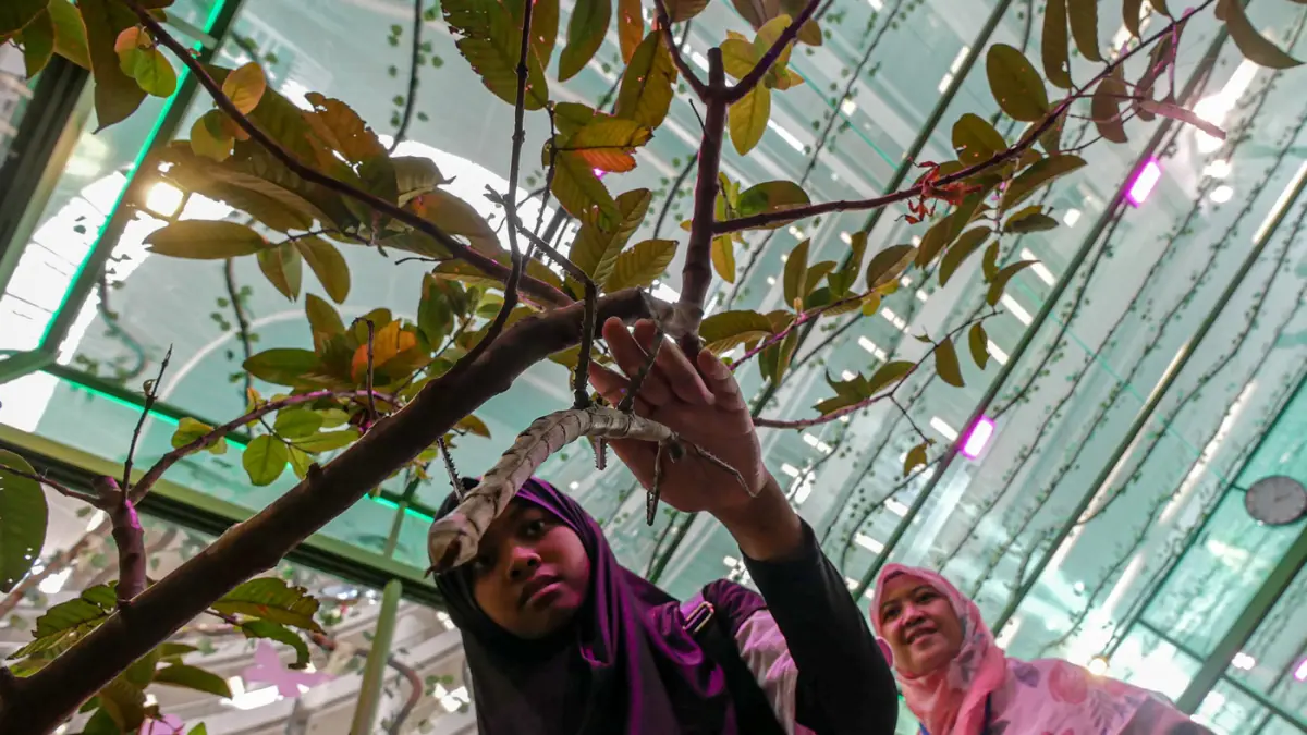 Sejumlah pengunjung mencoba sensai memegang serangga dan kupu-kupu di House of the Jungle di Mall Ciputra Jakarta, Sabtu (20/06/2026). (Hanung Hambara/Jawa Pos)