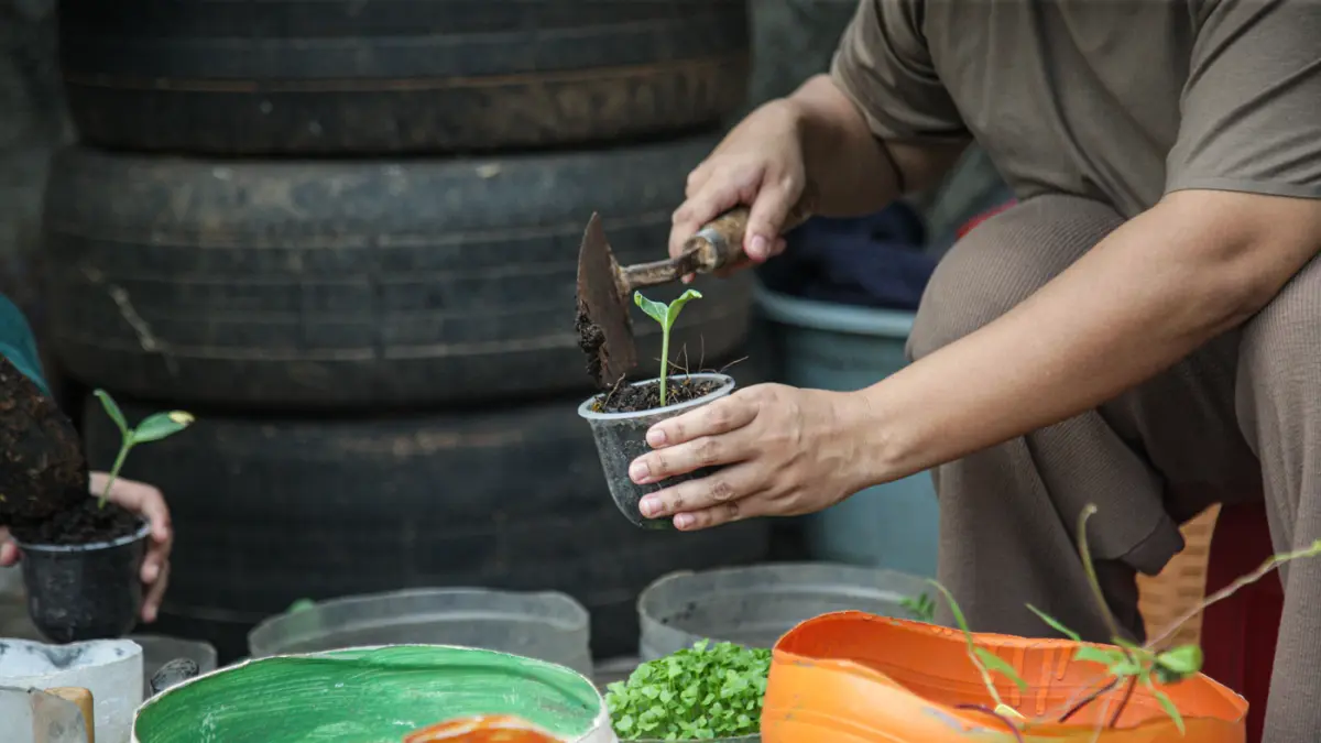 Sejumlah anggota Kelompok Wanita Tani (KWT) Green Growth Verina memanen sayuran kakngkung kidroponik di Perumahan Verina, Graha Raya, Kota Tangerang, Jumat (26/06/2026). (Hanung Hambara/Jawa Pos)