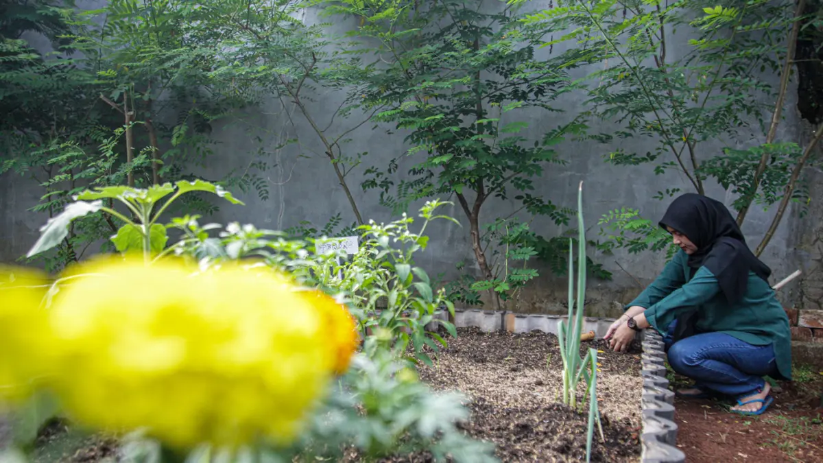 Sejumlah anggota Kelompok Wanita Tani (KWT) Green Growth Verina memanen sayuran kakngkung kidroponik di Perumahan Verina, Graha Raya, Kota Tangerang, Jumat (26/06/2026). (Hanung Hambara/Jawa Pos)