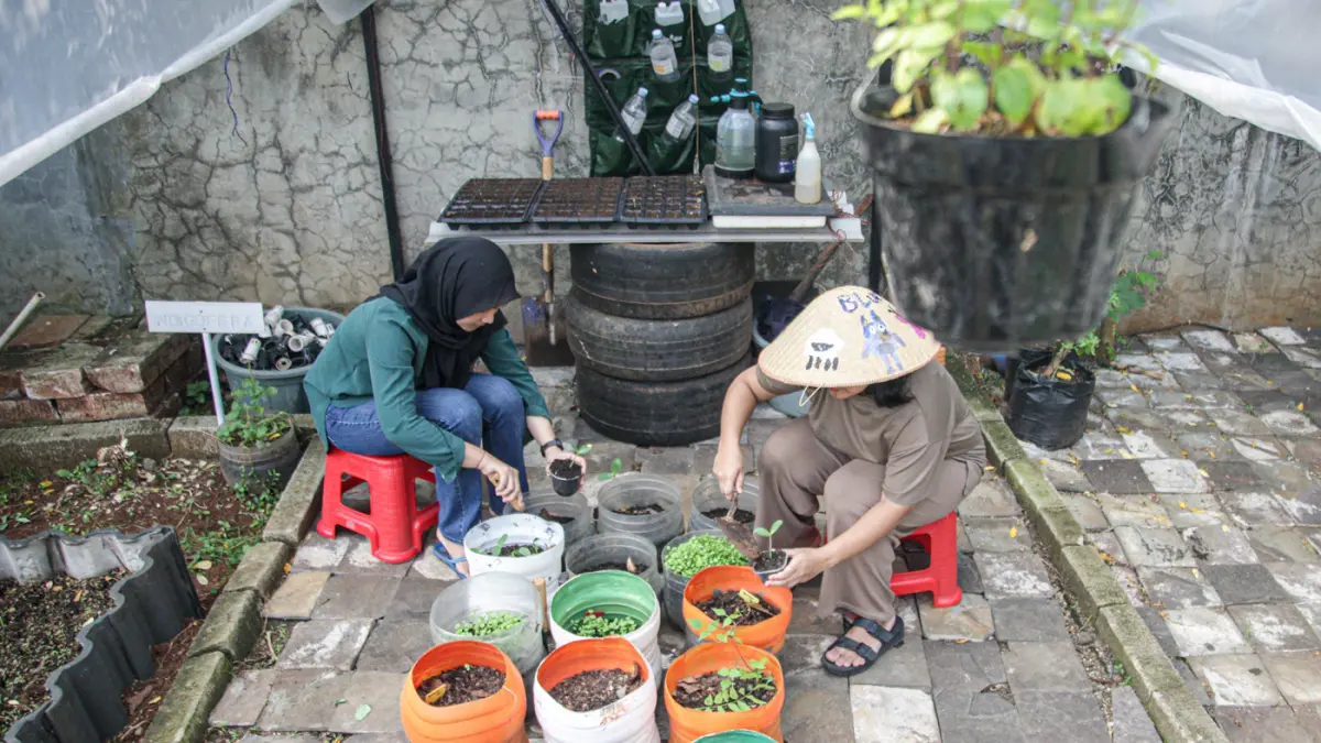 Sejumlah anggota Kelompok Wanita Tani (KWT) Green Growth Verina memanen sayuran kakngkung kidroponik di Perumahan Verina, Graha Raya, Kota Tangerang, Jumat (26/06/2026). (Hanung Hambara/Jawa Pos)