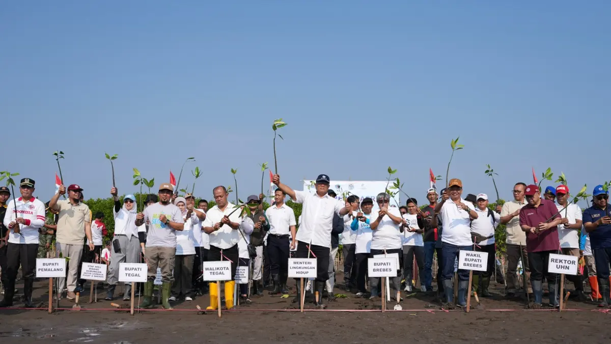 Menteri Lingkungan Hidup Jumhur Hidayat menanam mangrove di Pantai Utara Brebes sebagai ikhtiar mengembalikan 800 ribu hektare hutan mangrove yang sudah rusak. (KLH) - Image