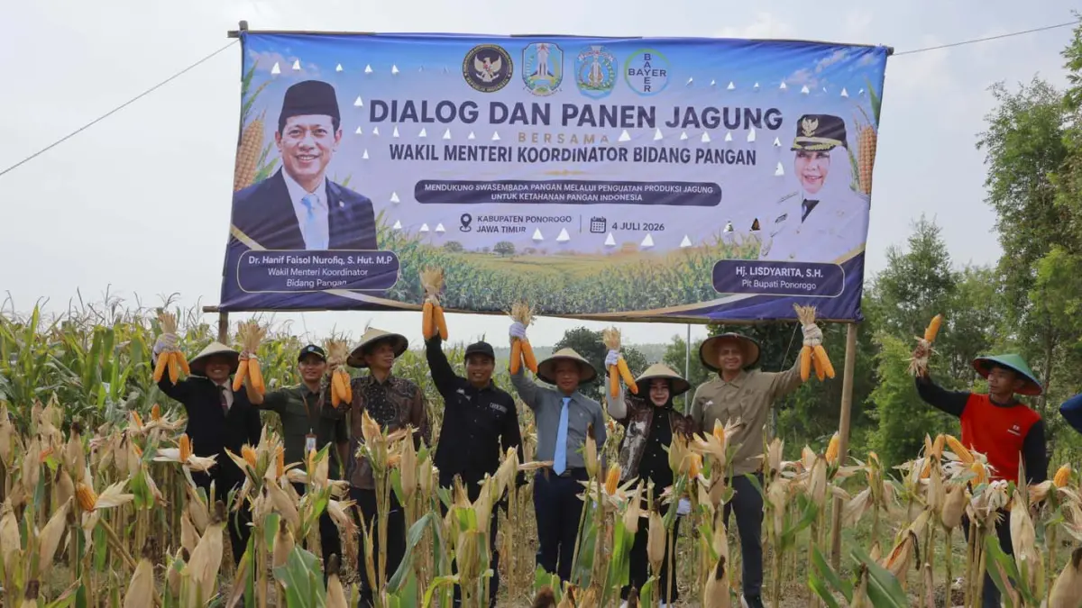Perkuat Upaya Ketahanan Pangan Nasional - Image