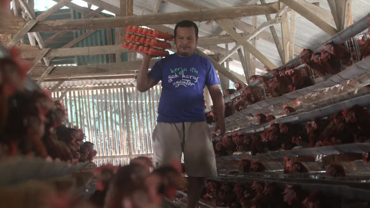 Pekerja mengambil telur dari kandang ayam petelur di kawasan Tangerang Selatan, Rabu (8/7/2026). (Dery Ridwansah/ JawaPos.com)