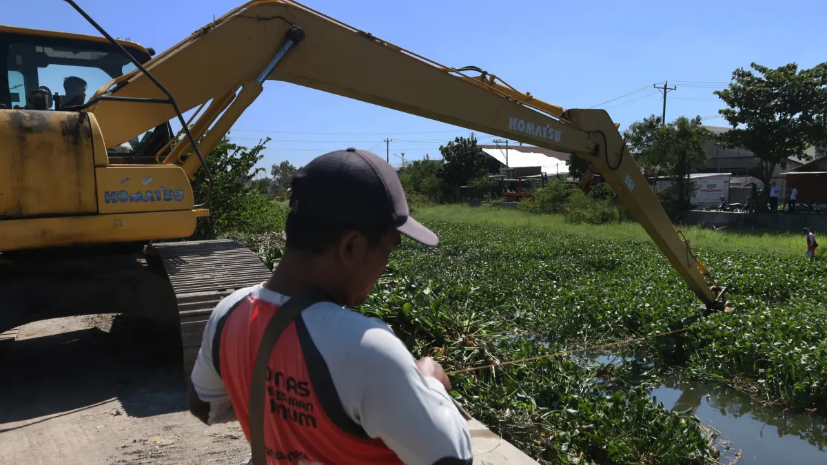 Petugas Dinas Pekerjaan Umum (DPU) mengoperasikan ekskavator danTali Jangkar untuk mengangkat hamparan eceng gondok yang menutupi hampir seluruh permukaan Kali Baru di Kelurahan Bandarharjo, Kecamatan Semarang Utara,Jawa Tengah,Selasa (8/7/2026)