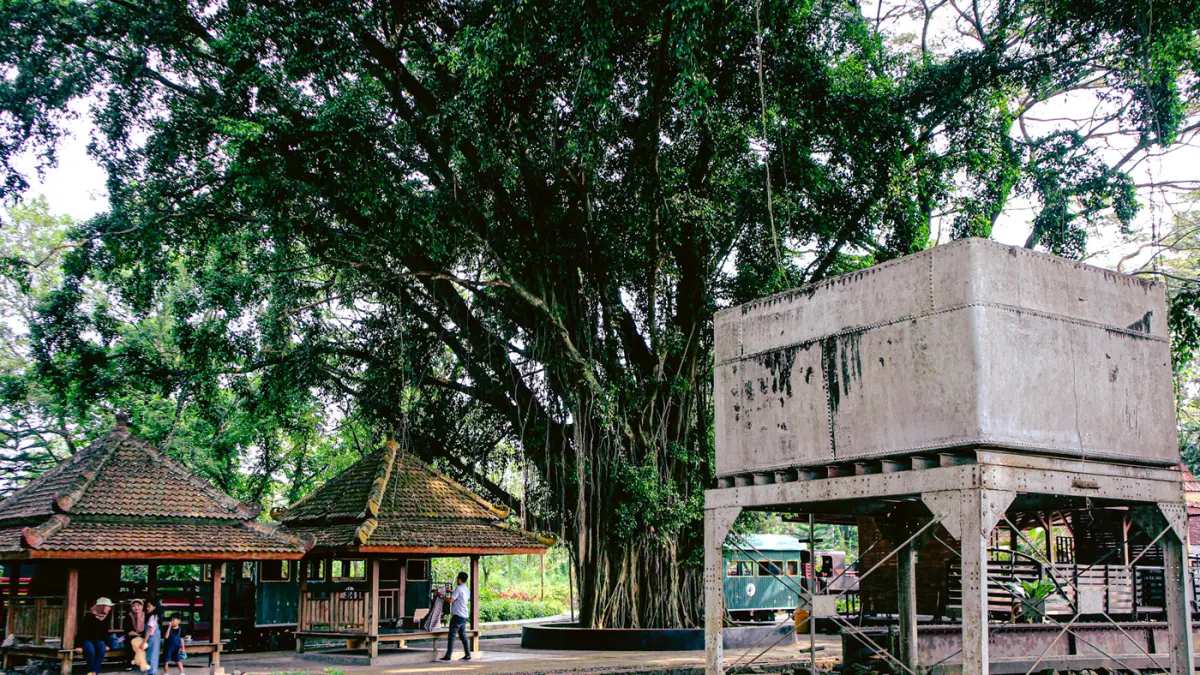 Wisata dengan kereta tua tampaknya masih menjadi paket wisata sejarah sekaligus wisata alam yang semakin hari semakin diminati wisatawan.