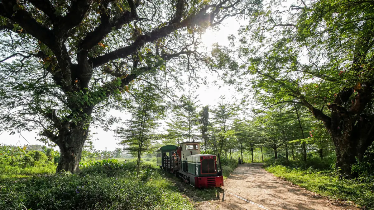 Wisata dengan kereta tua tampaknya masih menjadi paket wisata sejarah sekaligus wisata alam yang semakin hari semakin diminati wisatawan.