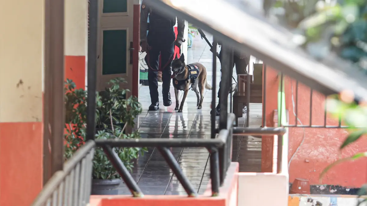 Teror Bom di SDN Srengseng Sawah 15 Jakarta - Image