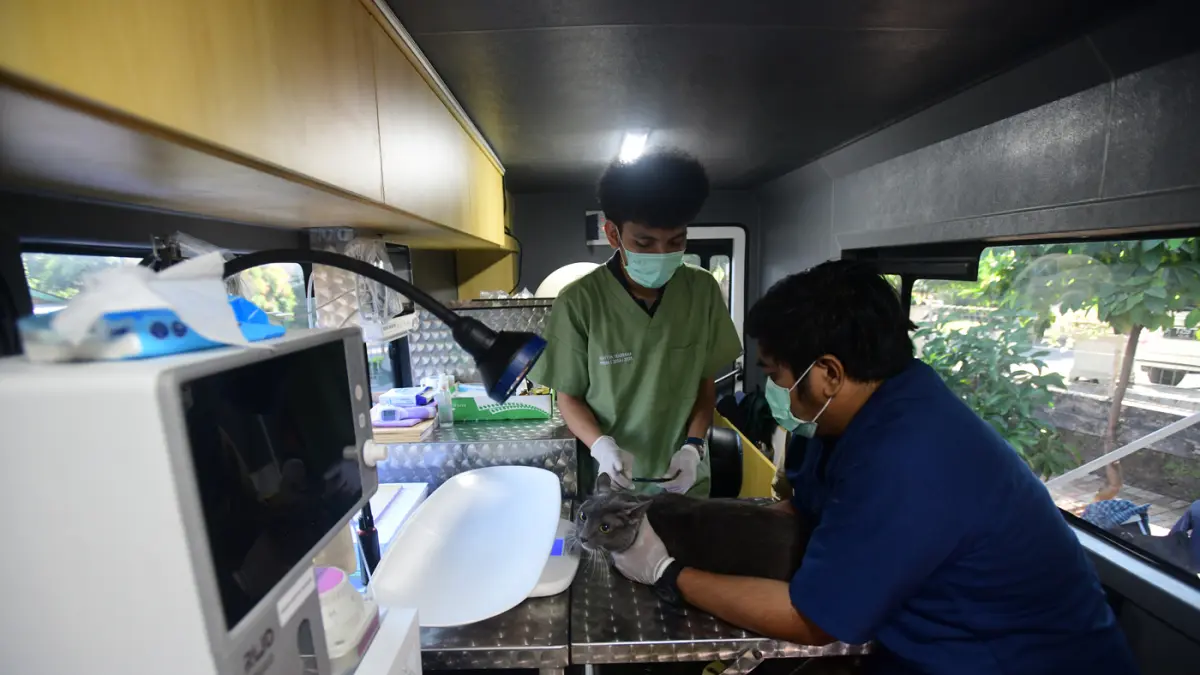 Layanan Mobil Klinik Untuk Vaksi Hewan - Image