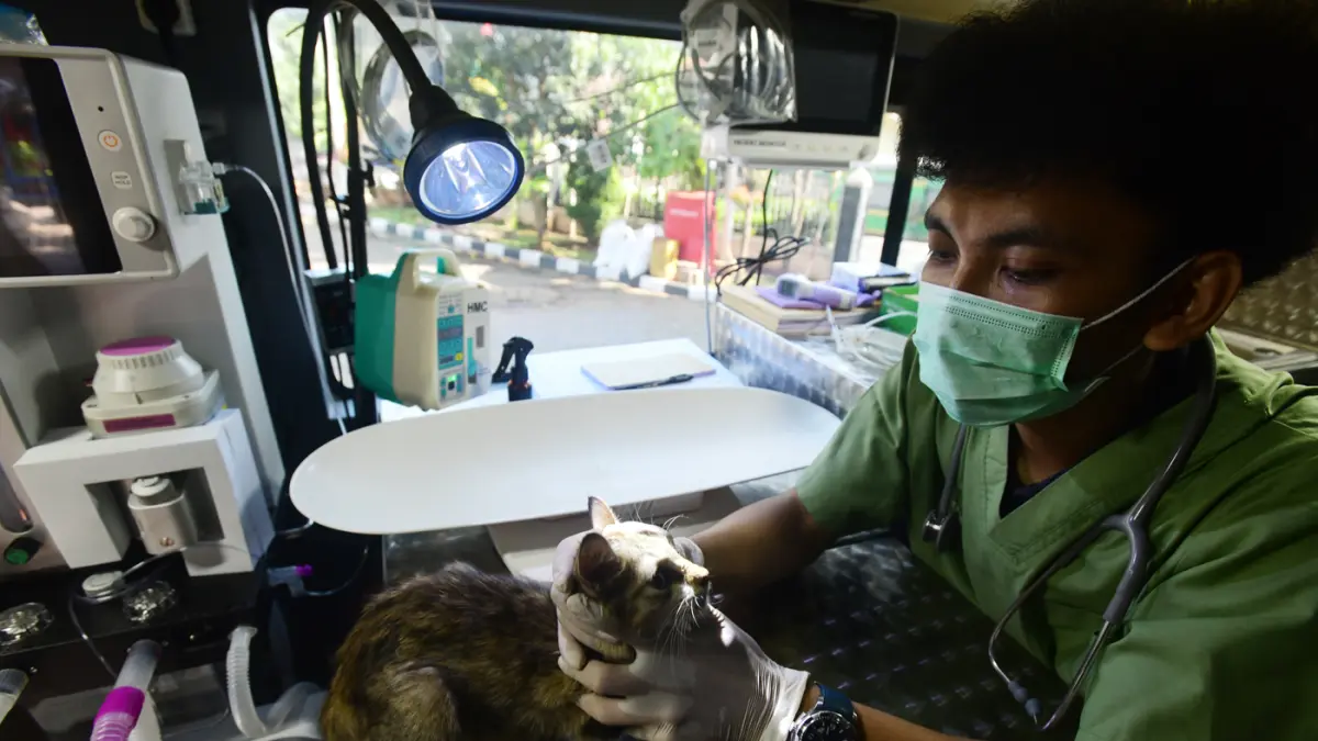 Warga membawa kucing peliharaannya untuk disterilisasi di Mobil Klinik Hewan Keliling di Pondok Bambu, Jakarta, Rabu (15/7/2026). (Dery Ridwansah/ JawaPos.com)
