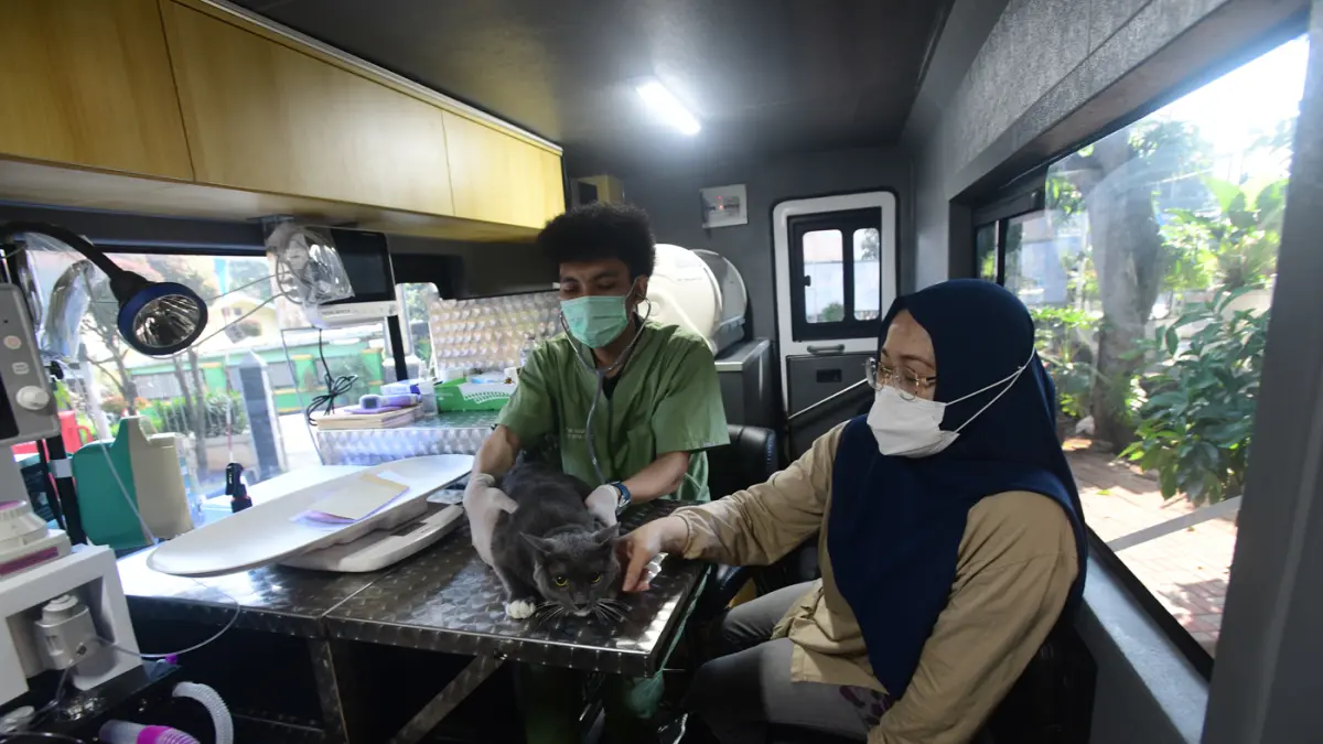 Warga membawa kucing peliharaannya untuk disterilisasi di Mobil Klinik Hewan Keliling di Pondok Bambu, Jakarta, Rabu (15/7/2026). (Dery Ridwansah/ JawaPos.com)