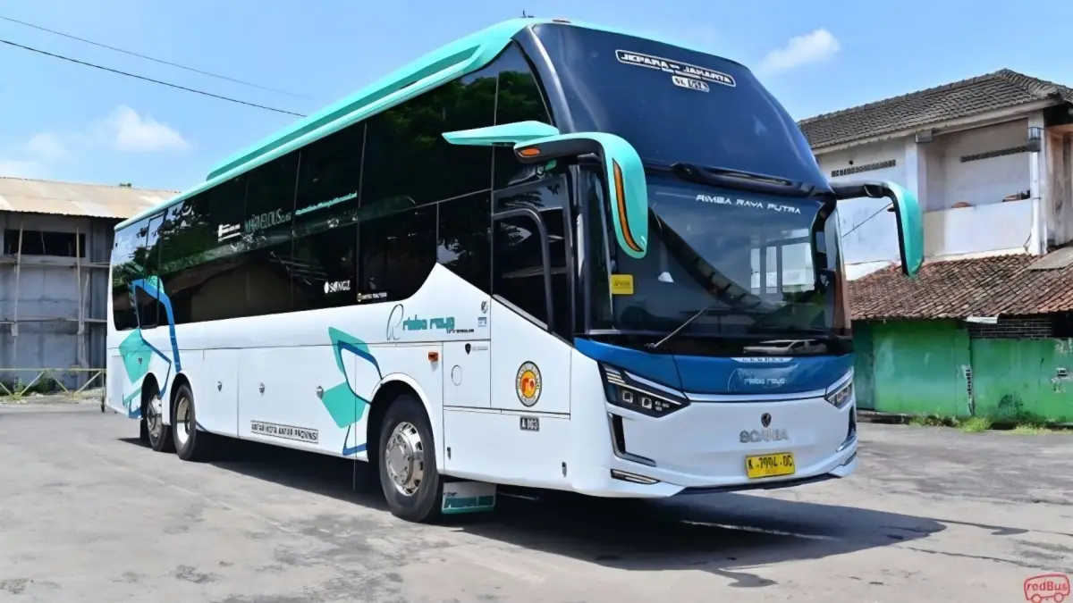Ilustrasi armada bus PO Rimba Raya. (Redbus). - Image