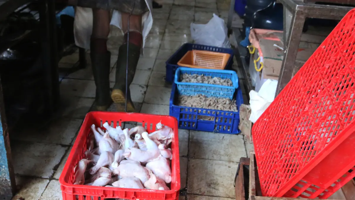 Pekerja membersihkan ayam potong di Rumah Potong Hewan (RPH) UD Budi Berkah di Pasar Peterongan, kota Semarang,Jawa Tengah, Selasa (21/7/2026). (Nur Chamim/Jawa Pos Radar Semarang)