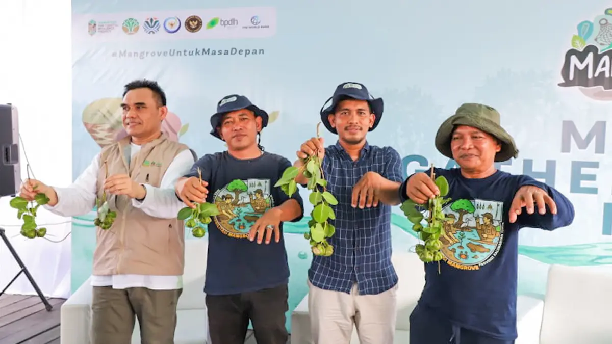 Program M4CR menargetkan pemulihan 32.634 hektare mangrove hingga 2027 di Riau, Sumatera Utara, Kalimantan Timur, dan Kalimantan Utara.