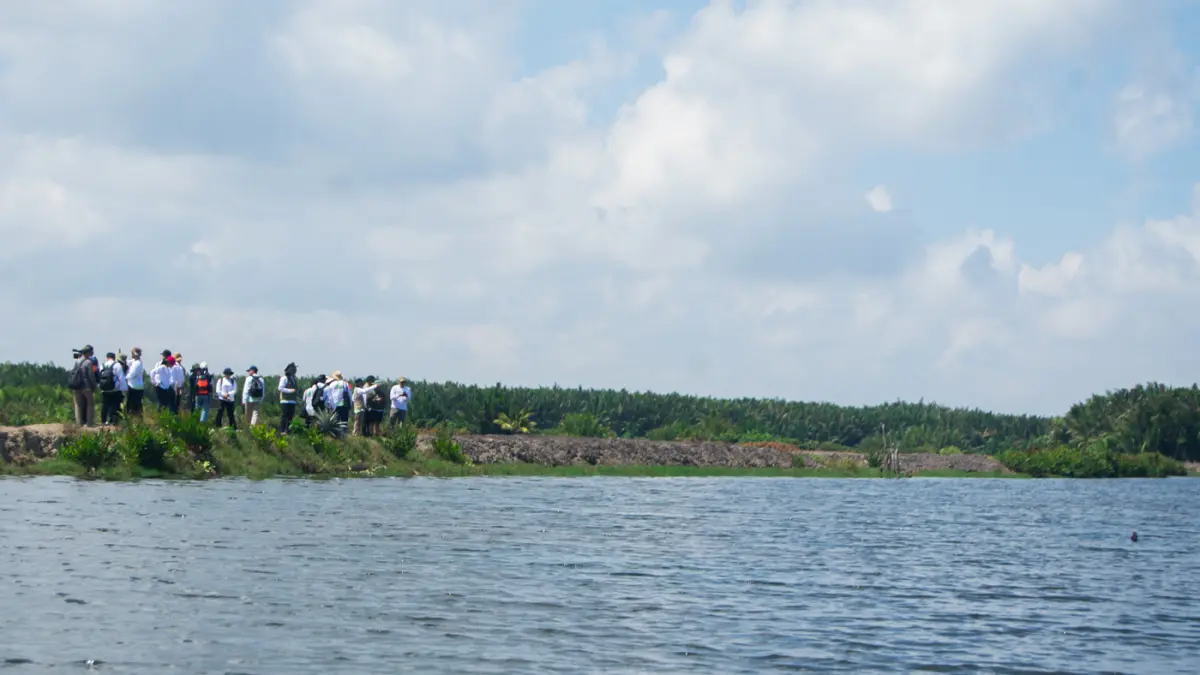 Program M4CR menargetkan pemulihan 32.634 hektare mangrove hingga 2027 di Riau, Sumatera Utara, Kalimantan Timur, dan Kalimantan Utara.