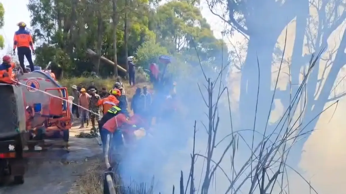 Petugas gabungan berjibaku memadamkan karhutla di kawasan Gunung Bromo, Kamis (6/8). (Dokumentasi BPBD Jatim) - Image