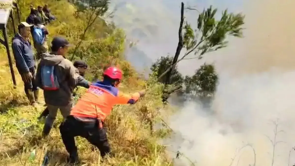 Petugas gabungan berjibaku memadamkan karhutla di kawasan Gunung Bromo, Kamis (6/8). (Radar Malang) - Image