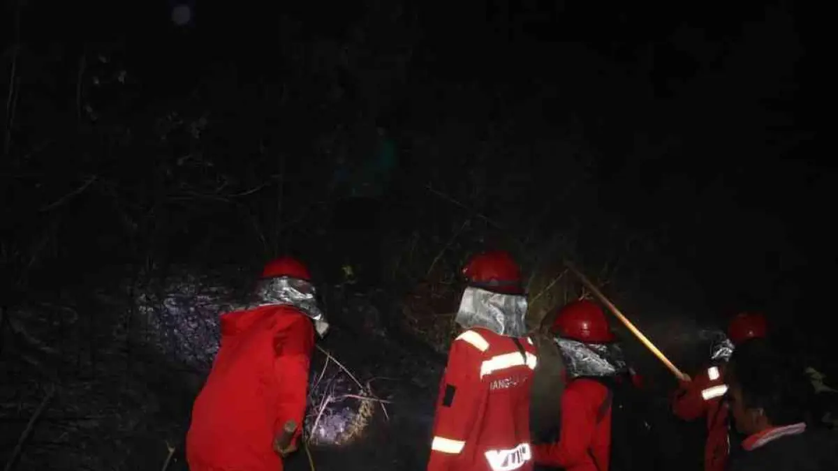Petugas gabungan berjibaku memadamkan kebakaran lahan di Gunung Rinjani. (Dok. Kemenhut) - Image