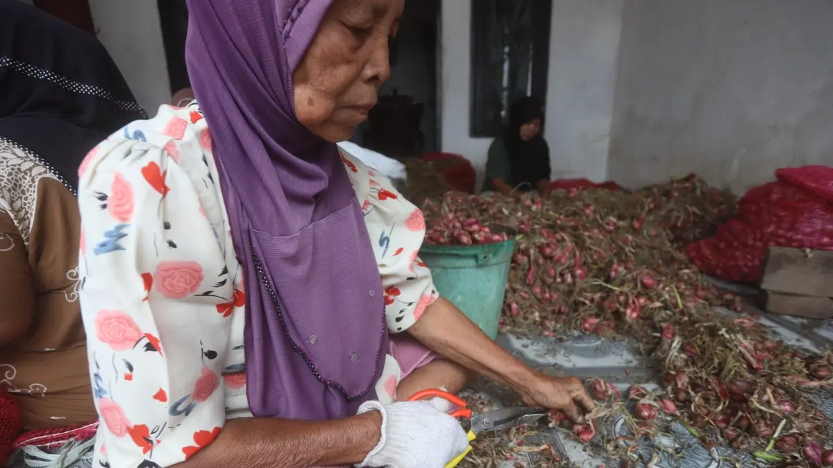 Potret Pengupas Bawang di Mojokerto Hanya Bawa Pulang Rp15 Ribu Sehari - Image