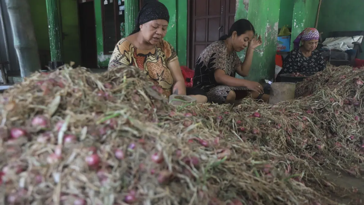 Wanita Pengupas bawang di Mojokerto. (Sofan/ Jawa Pos Radar Mojokerto