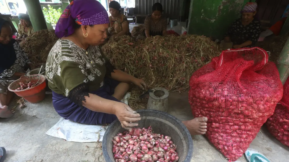 Wanita Pengupas bawang di Mojokerto. (Sofan/ Jawa Pos Radar Mojokerto