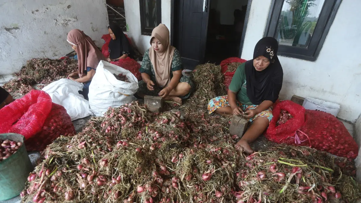 Wanita Pengupas bawang di Mojokerto. (Sofan/ Jawa Pos Radar Mojokerto