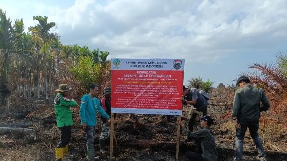 Lahan yang terbakar di Kabupaten Musi Banyuasin, Sumsel dan berhasil dipadamkan 31 Juli 2026. (Dok. Kemenhut) - Image
