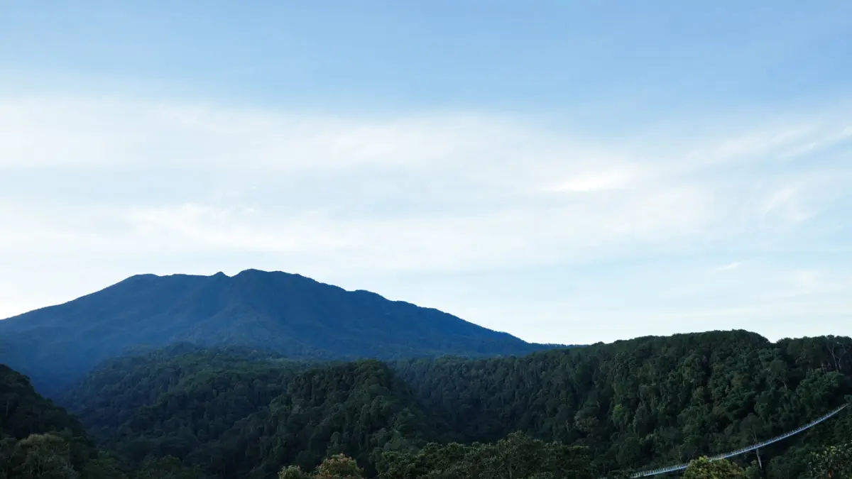 Berbagai atraksi dan aktivitas berbasis alam akan melengkapi pengalaman pengunjung, termasuk Suspension Bridge, Tree House & Net Adventure, Cultural Walk, Playscape, Nature Walk, Forest Adventure.