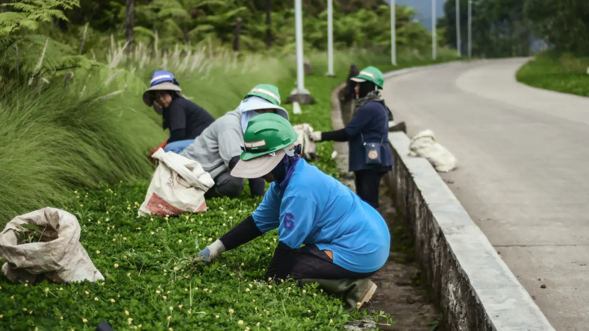 EIGER pun turut melakukan penghijauan melalui penanaman lebih dari 120.000 pohon serta 8 juta semak serta tanaman penutup tanah.