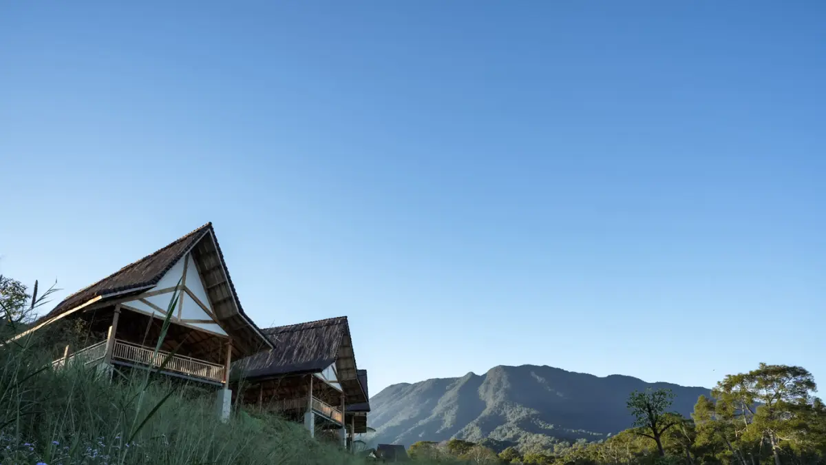 Hingga pengalaman menginap di Forest Camp yang terdiri atas Camping Ground, Glamping, dan Cabin.