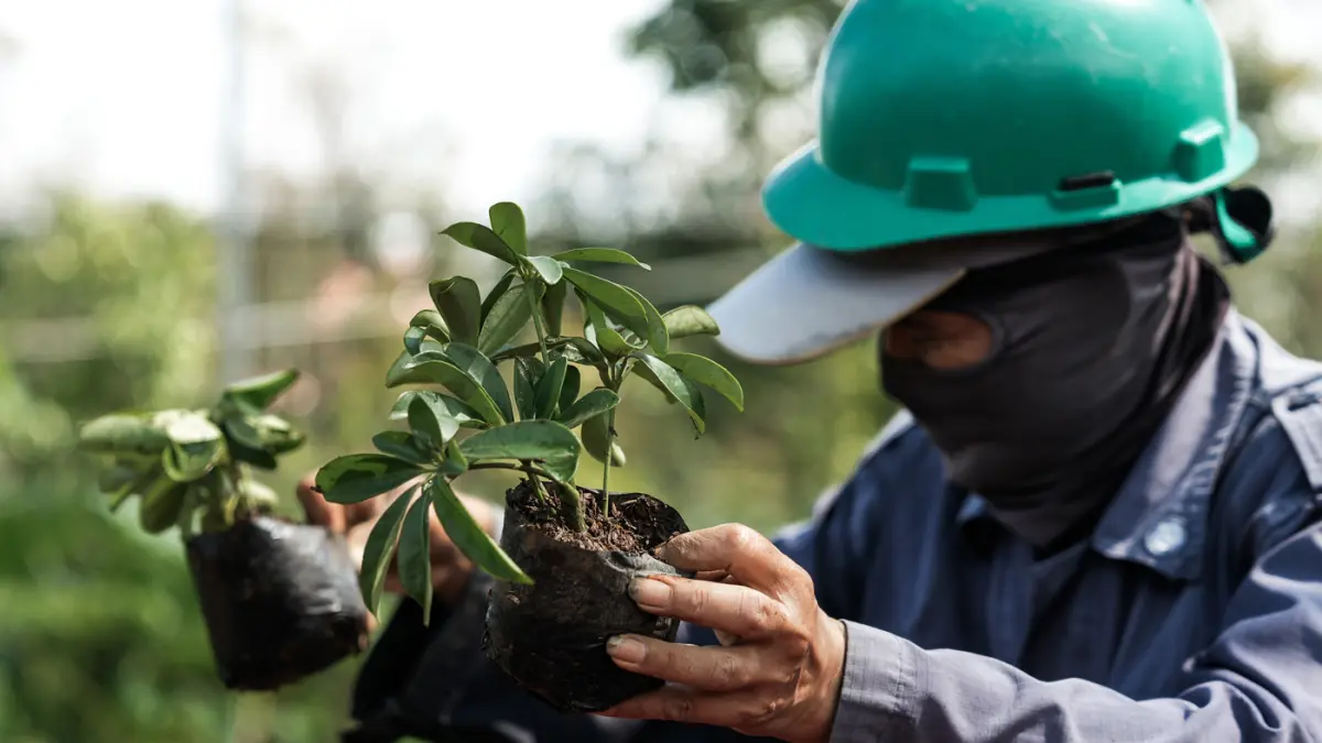 Termasuk sekitar 300 orang dari masyarakat sekitar, dan diproyeksikan dapat membuka lebih dari 1.200 lapangan pekerjaan saat beroperasi.