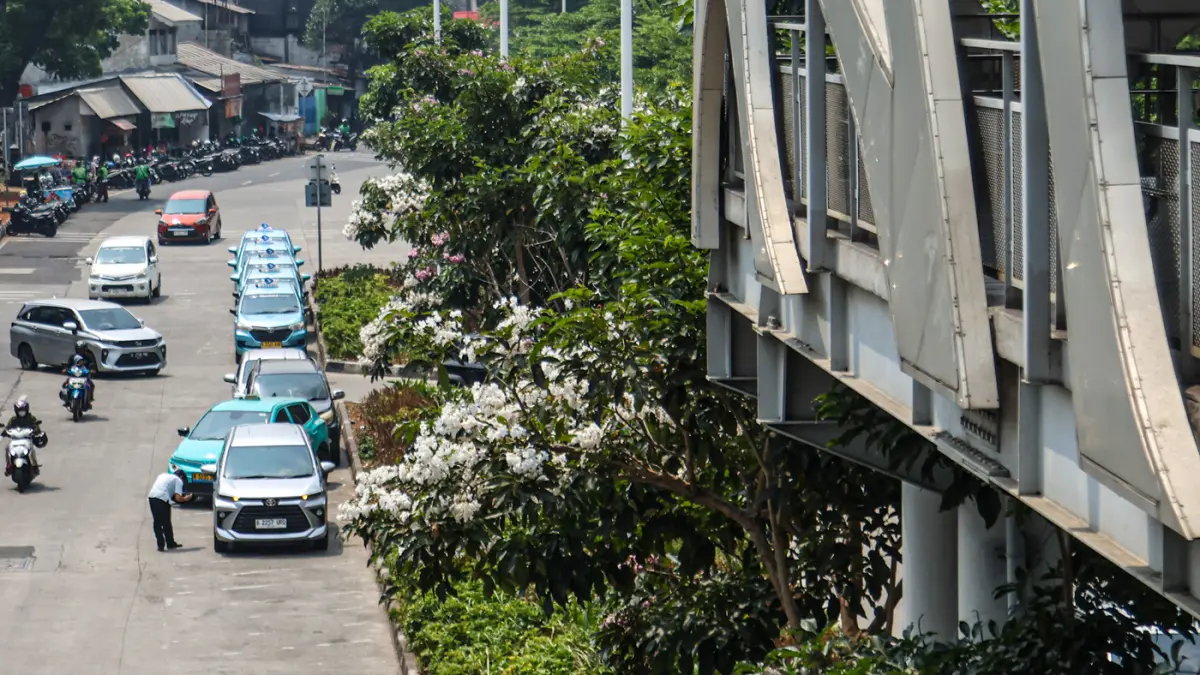 pohon tabebuya yang mekar di Jalan Lenteng Agung, Jakarta, Senin (24/08/2026). (Hanung Hambara/Jawa Pos)