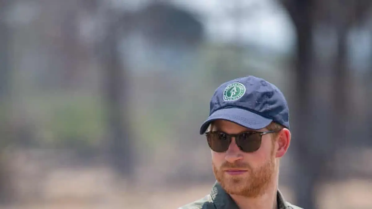 Pangeran Harry mundur dari dewan African Parks di tengah kontroversi pelanggaran HAM yang melibatkan para penjaga organisasi tersebut / Foto: (The Guardian) - Image