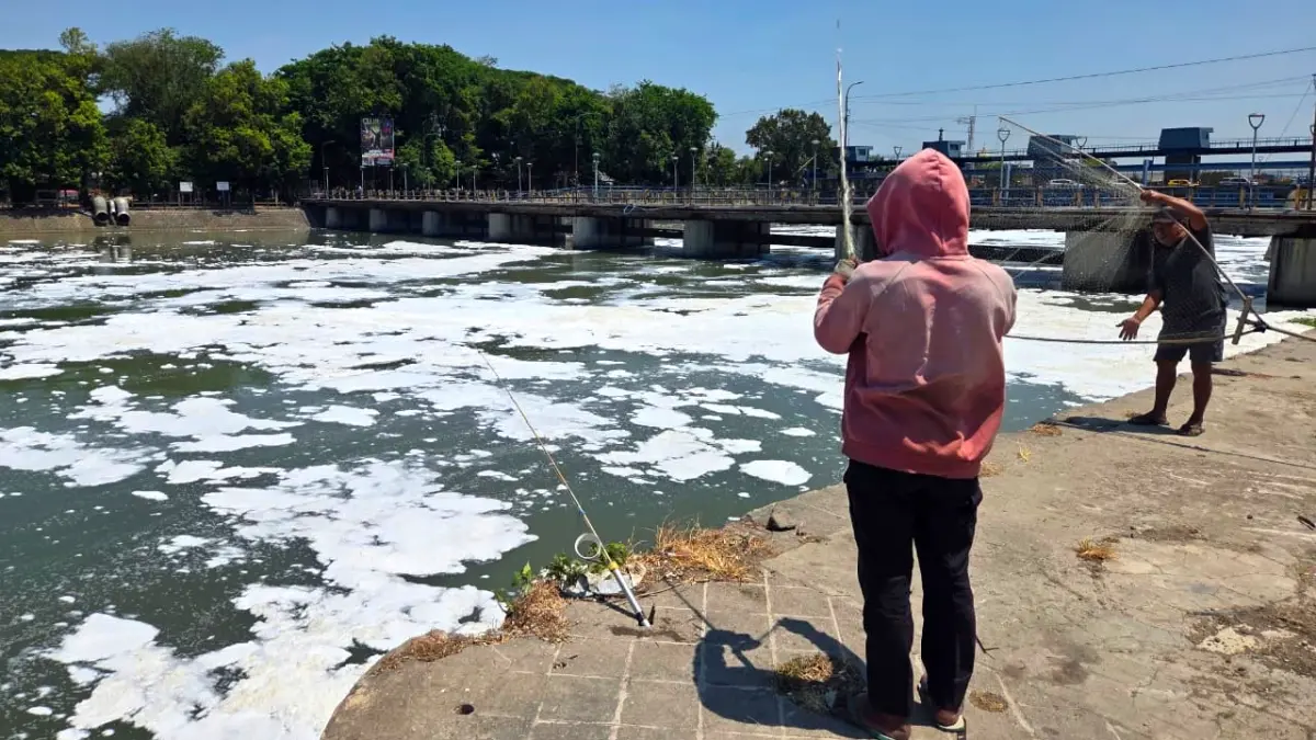 Penyebab Ikan Mati dan Busa Tebal di Kali Surabaya Terungkap - Image