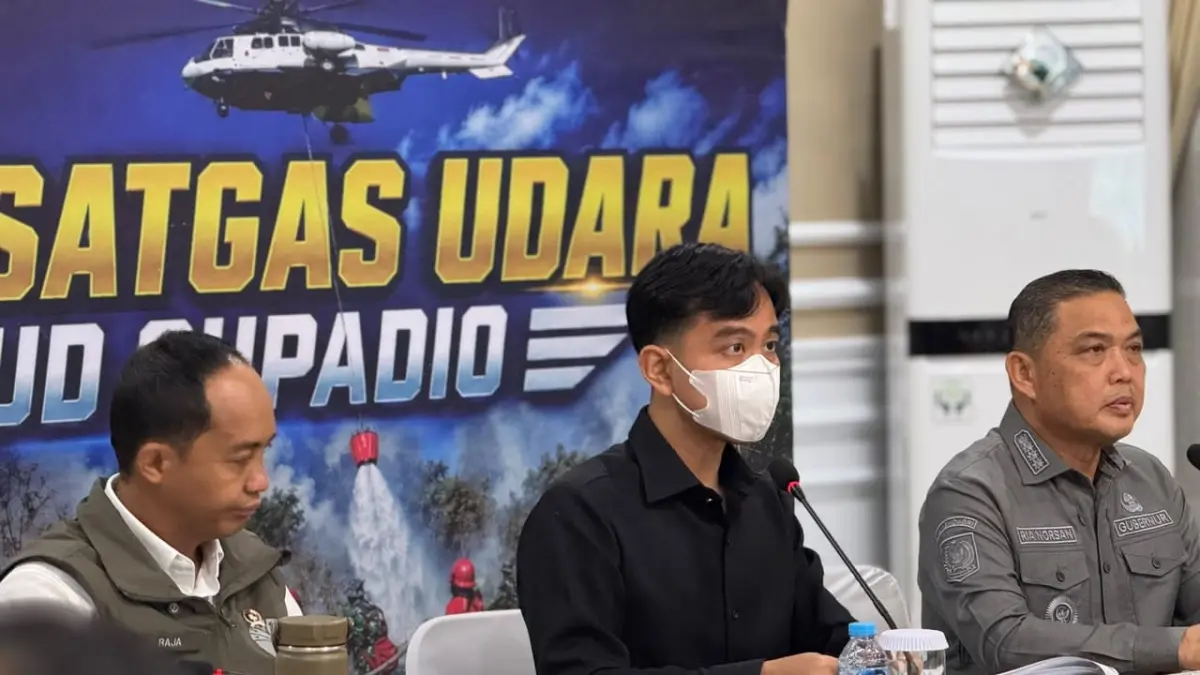Wapres Gibran Bersama Menhut Tinjau Karhutla Kalimantan Barat - Image