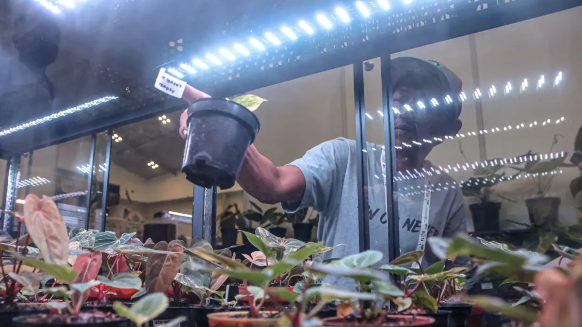 Sejumlah pengunjung ragam koleksi tanaman di Floriculture Indonesia International (FLOII) Expo 2026, ICE BSD, Tangerang, Kamis (17/09/2026). (Hanung Hambara/Jawa Pos)