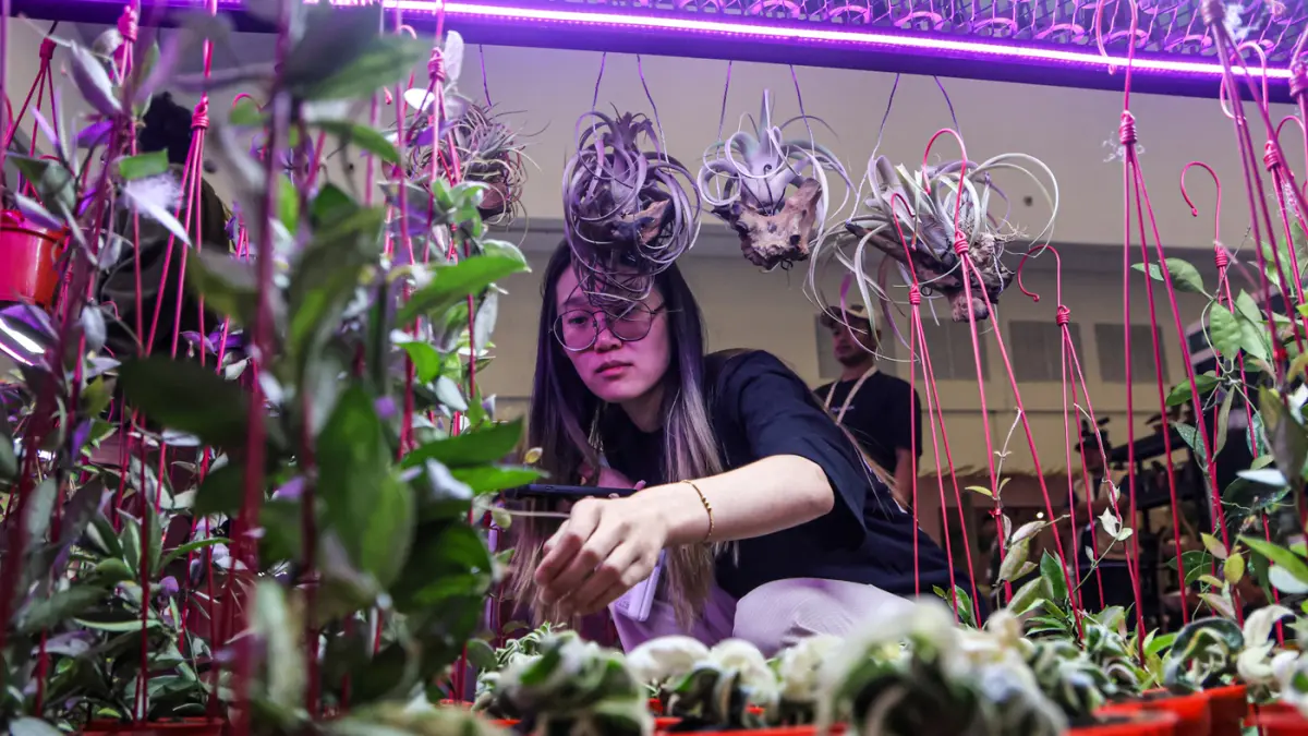 Sejumlah pengunjung ragam koleksi tanaman di Floriculture Indonesia International (FLOII) Expo 2026, ICE BSD, Tangerang, Kamis (17/09/2026). (Hanung Hambara/Jawa Pos)