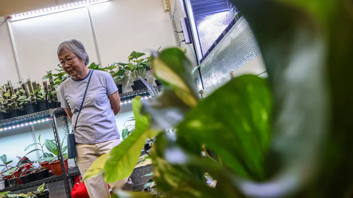 Sejumlah pengunjung ragam koleksi tanaman di Floriculture Indonesia International (FLOII) Expo 2026, ICE BSD, Tangerang, Kamis (17/09/2026). (Hanung Hambara/Jawa Pos)