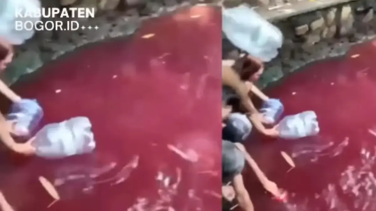 Viral kondisi mata air keramat Kareo di Kampung Kareo, Desa Cibadung, Kecamatan Gunung Sindur, Kabupaten Bogor. (Instagram @kabupatenbogor.id) - Image