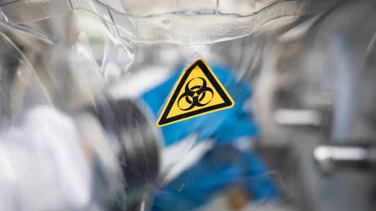 Ilustrasi virus. (Independent). - Image