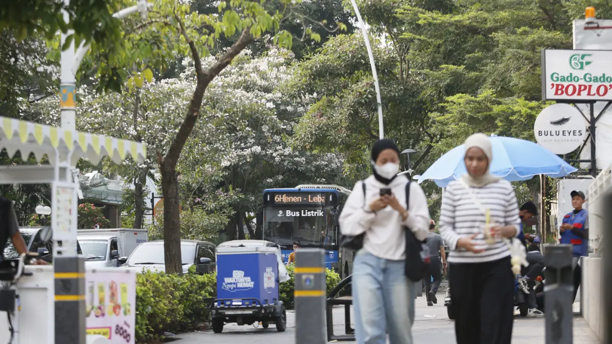 Suasana bunga tabebuya yang mekar di Jalan Cikini Raya, Jakarta. (Dery Ridwansah/ JawaPos.com)
